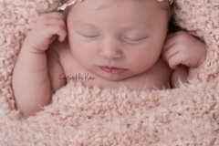 2019-02 Newborn Juliette - social media-105