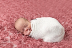 2019-03 Newborn Dewi-101