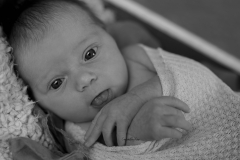 Captured by Karin - newborn Anneleine-105
